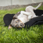 Ovales Hunde-Reisebett