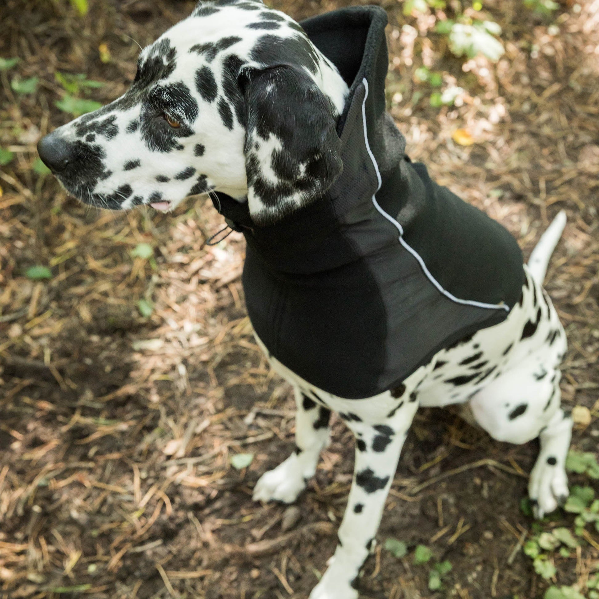 "Benji" Nackenwärmer