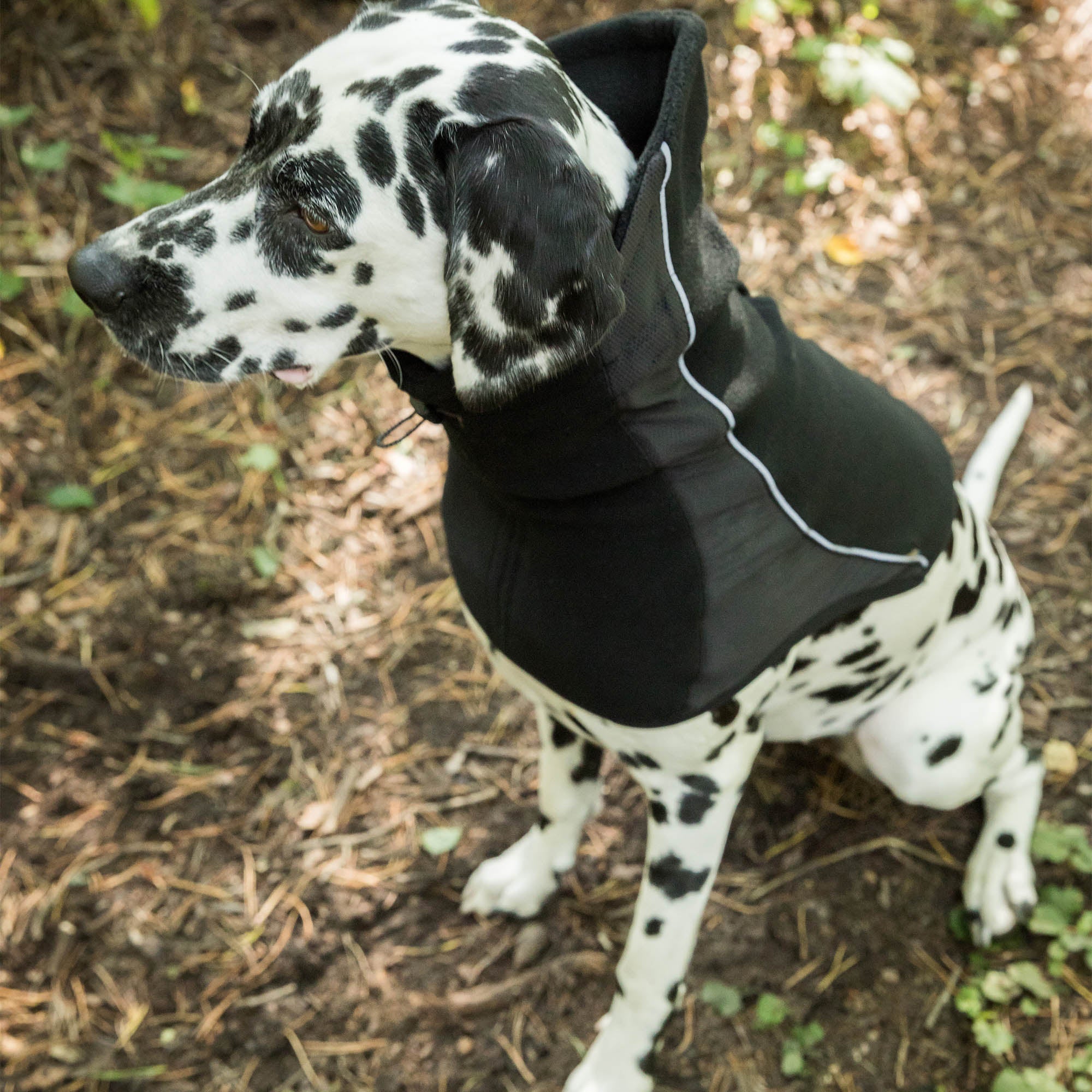 "Benji" Nackenwärmer