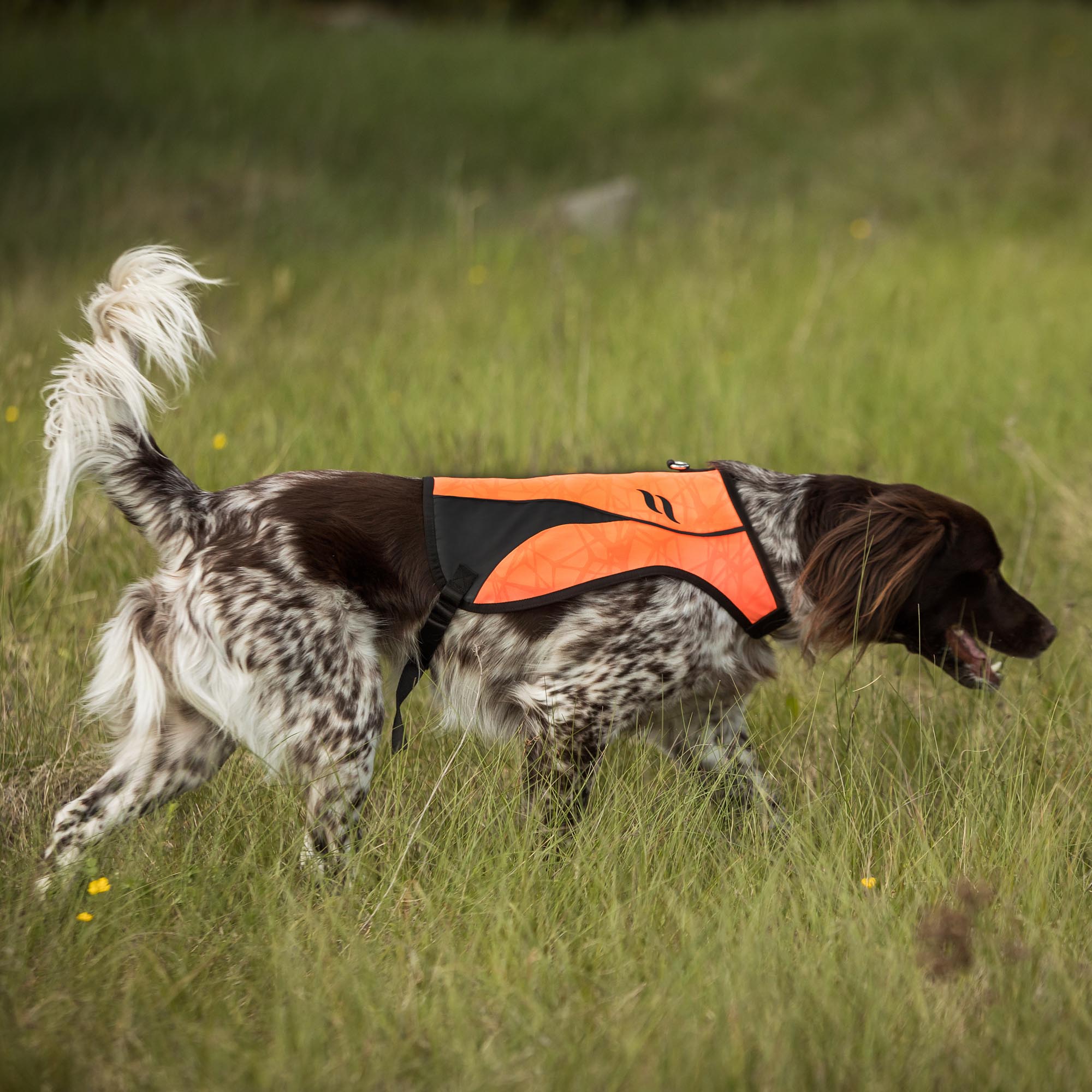 POINT Sicherheits-Hundeweste
