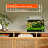 Plant Care K