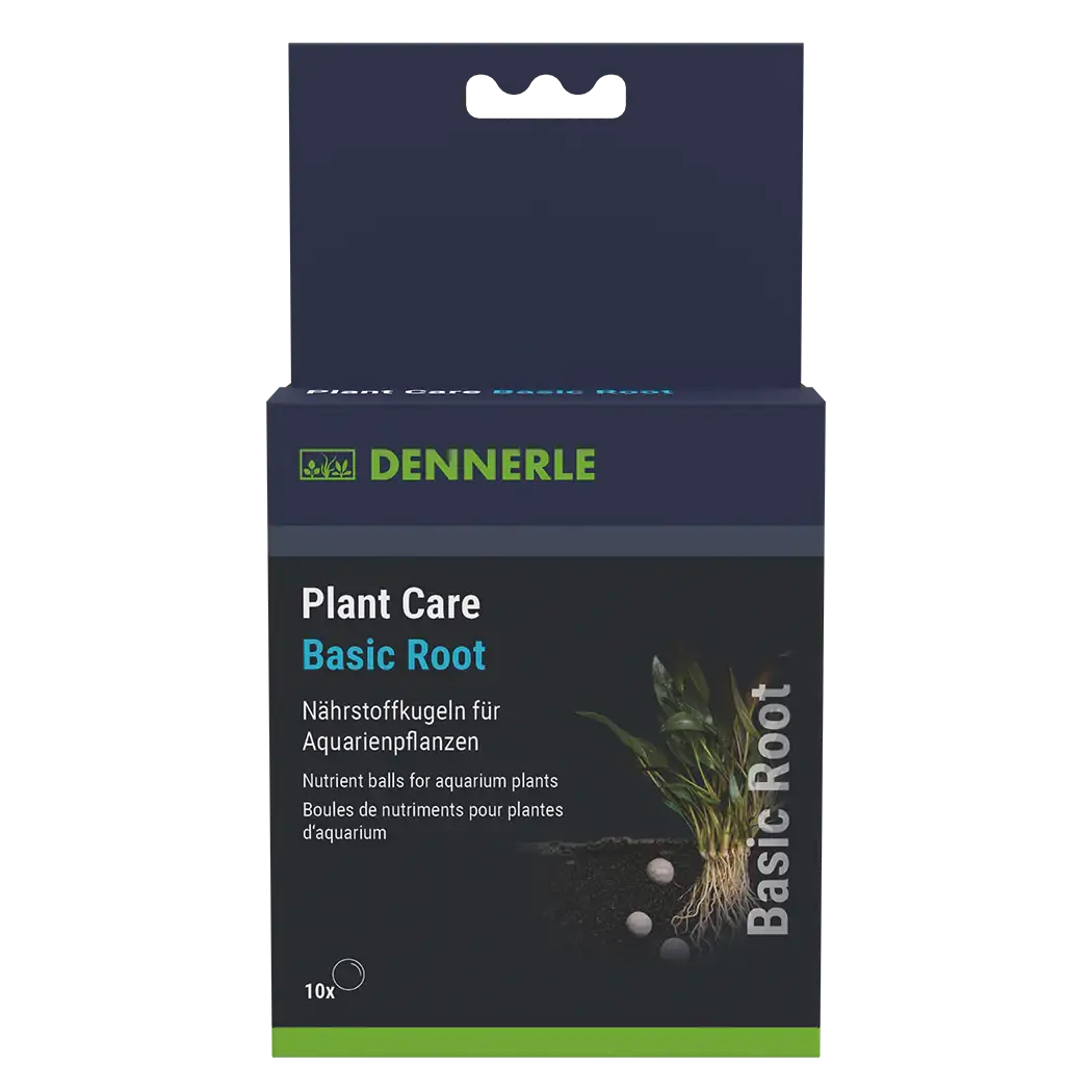 Plant Care Basic Root