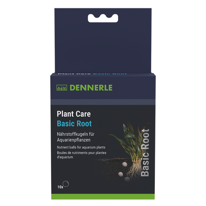 Plant Care Basic Root