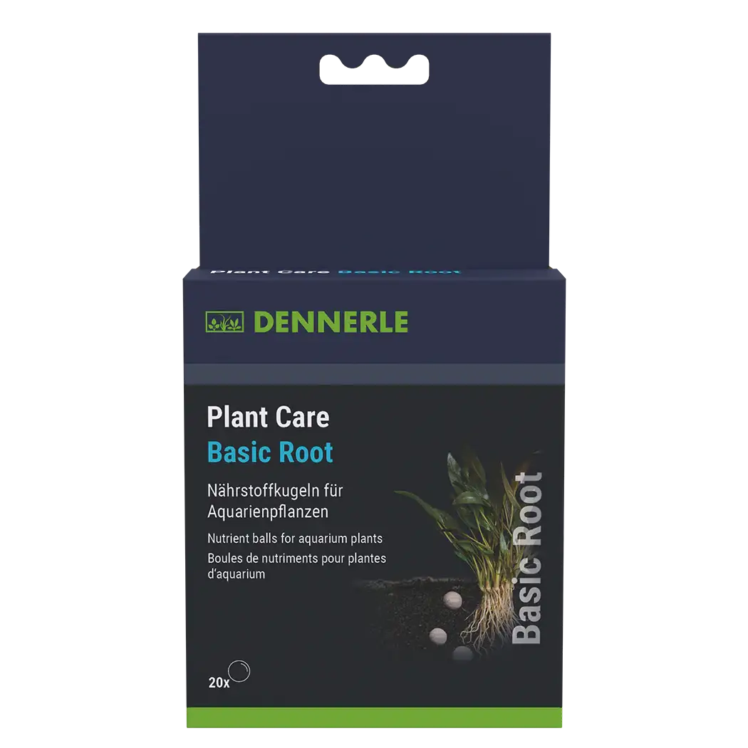 Plant Care Basic Root