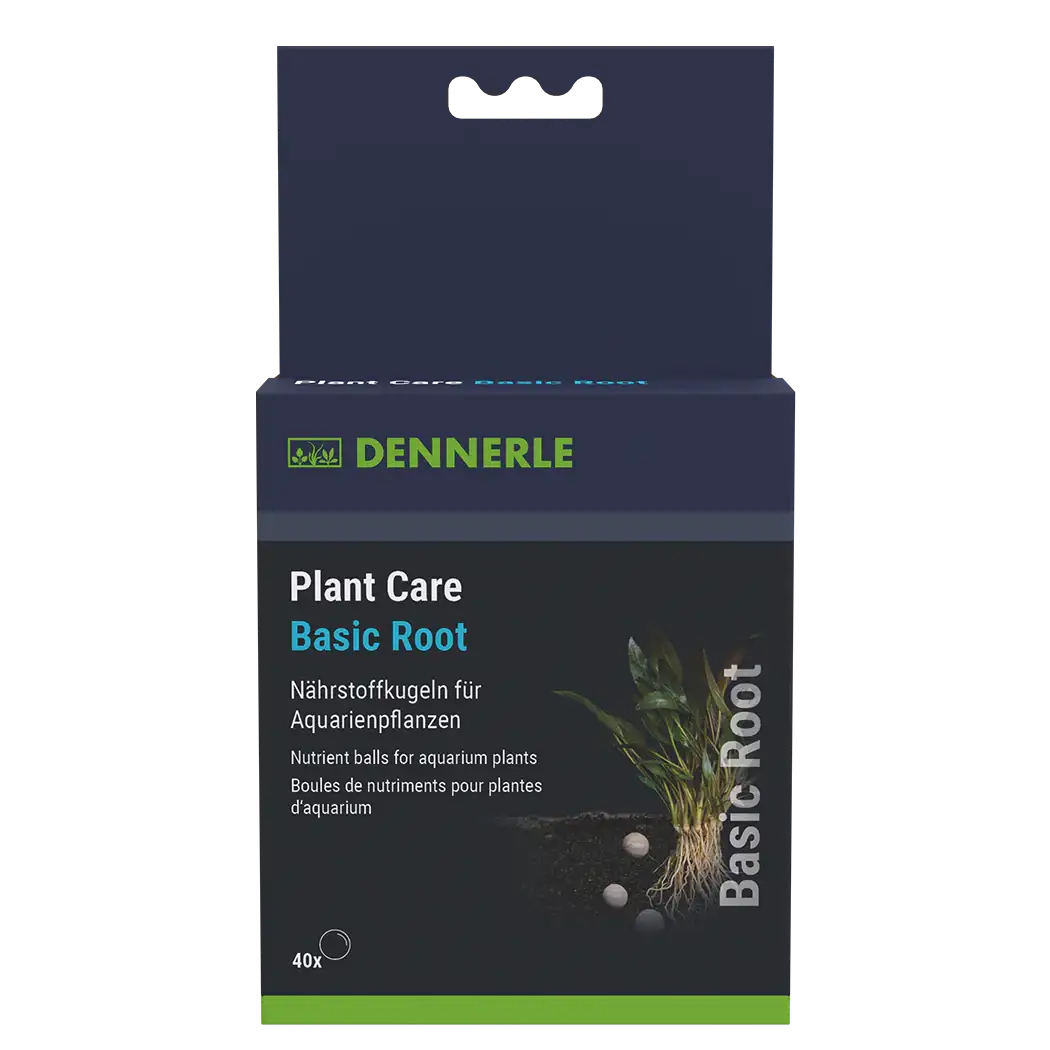 Plant Care Basic Root