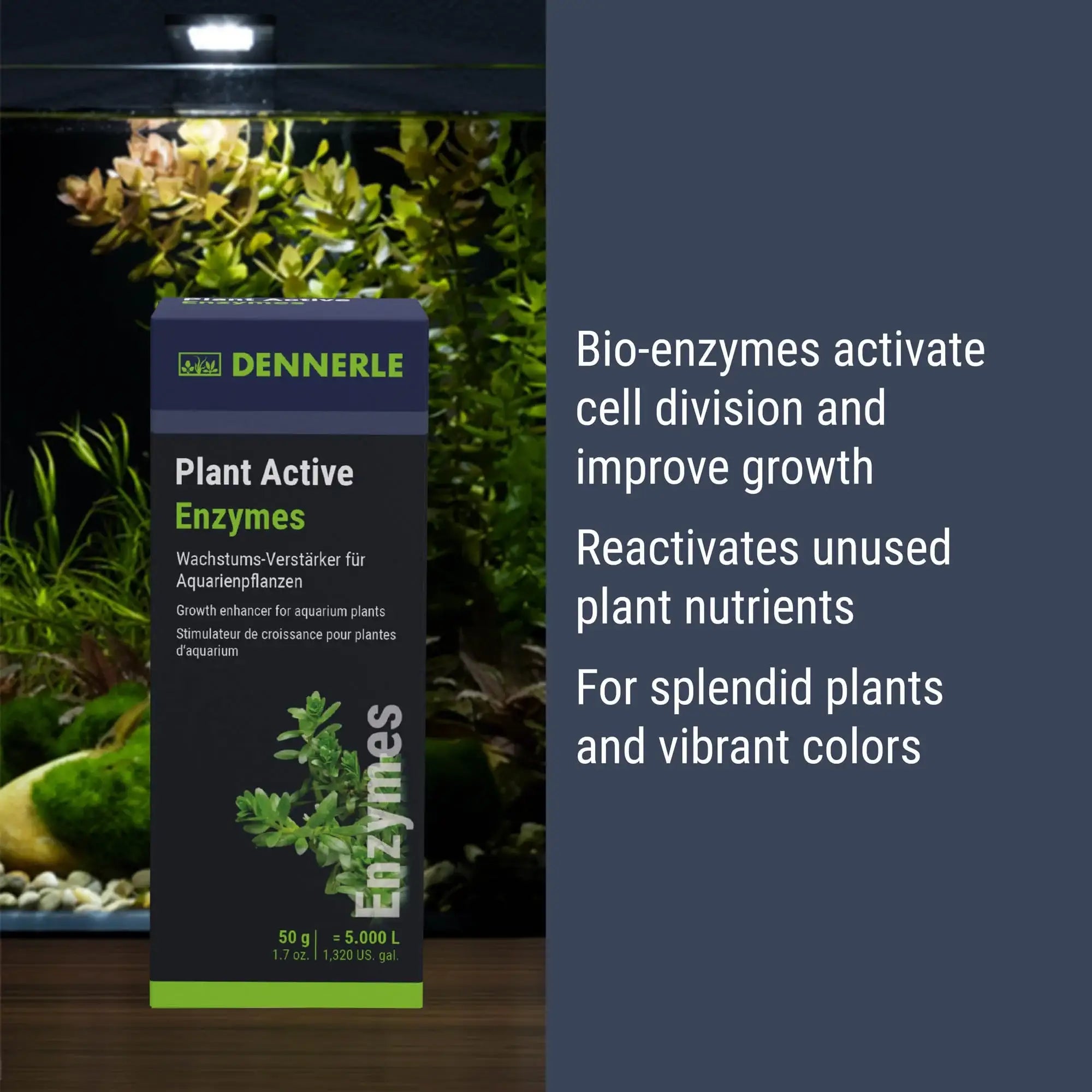 Plant Active Enzymes