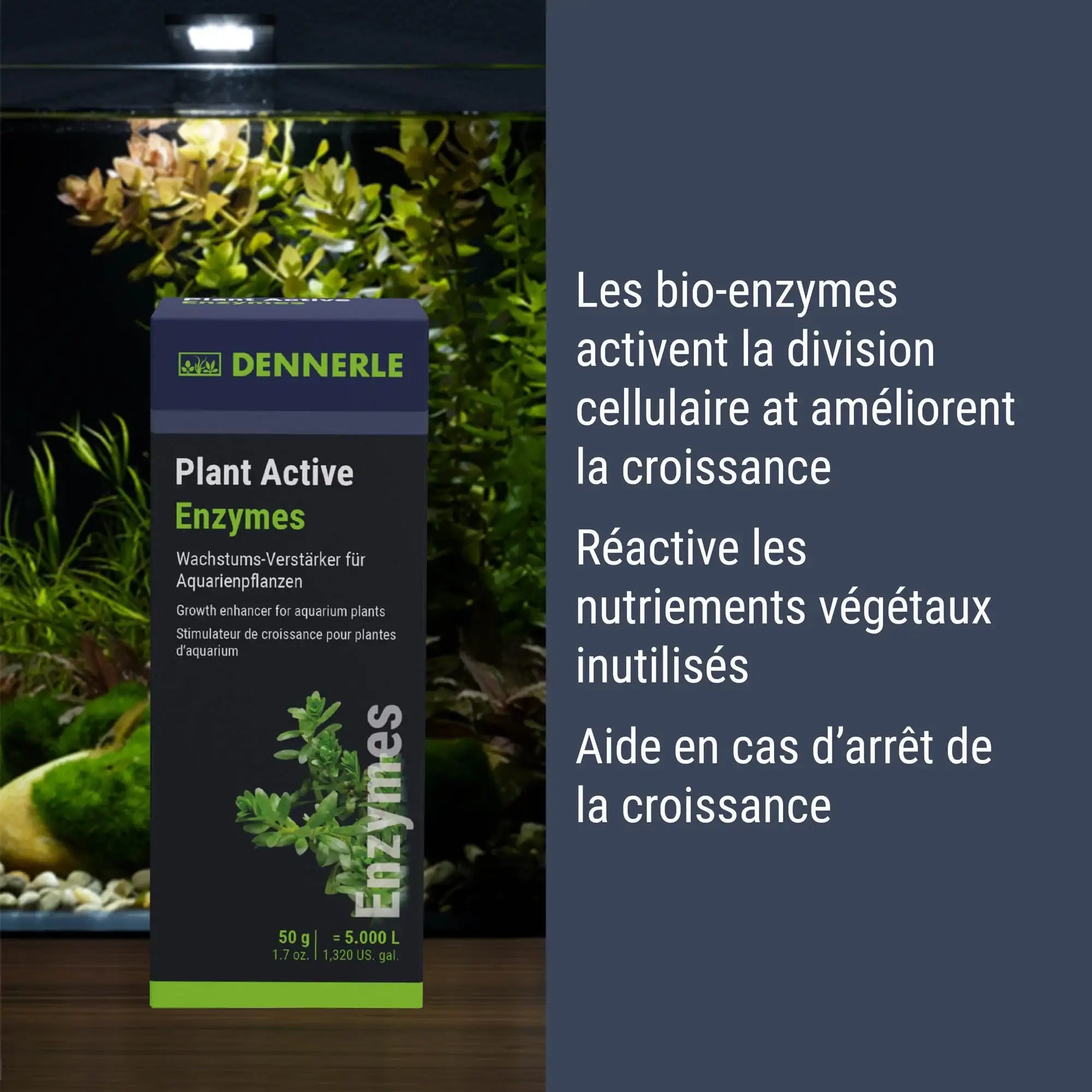 Plant Active Enzymes