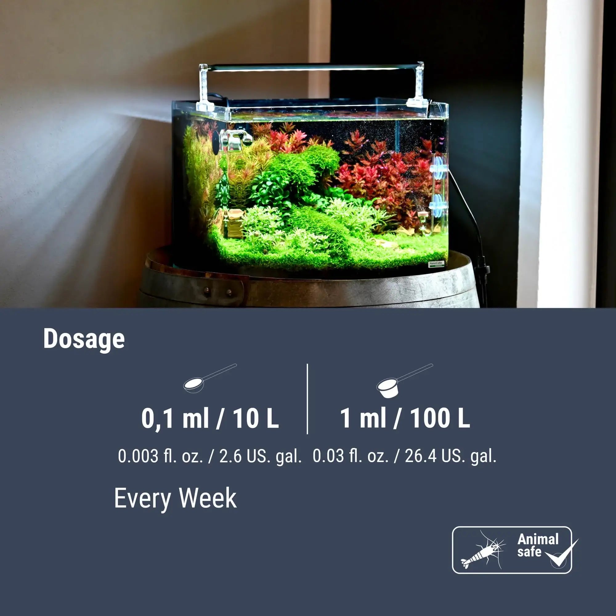 Plant Active Enzymes