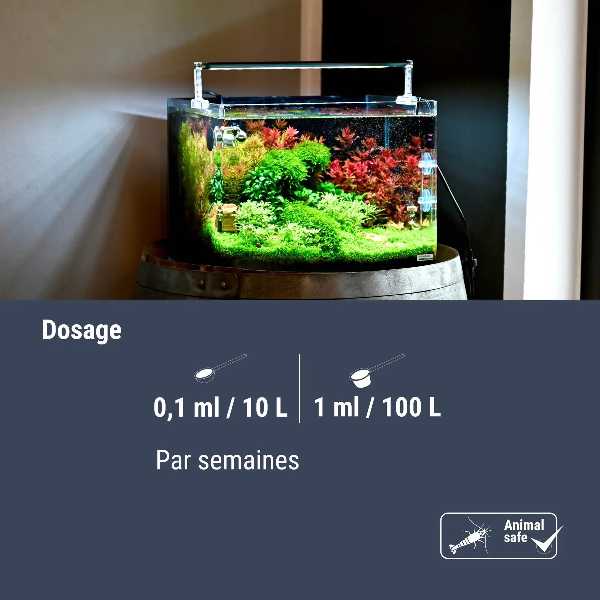 Plant Active Enzymes