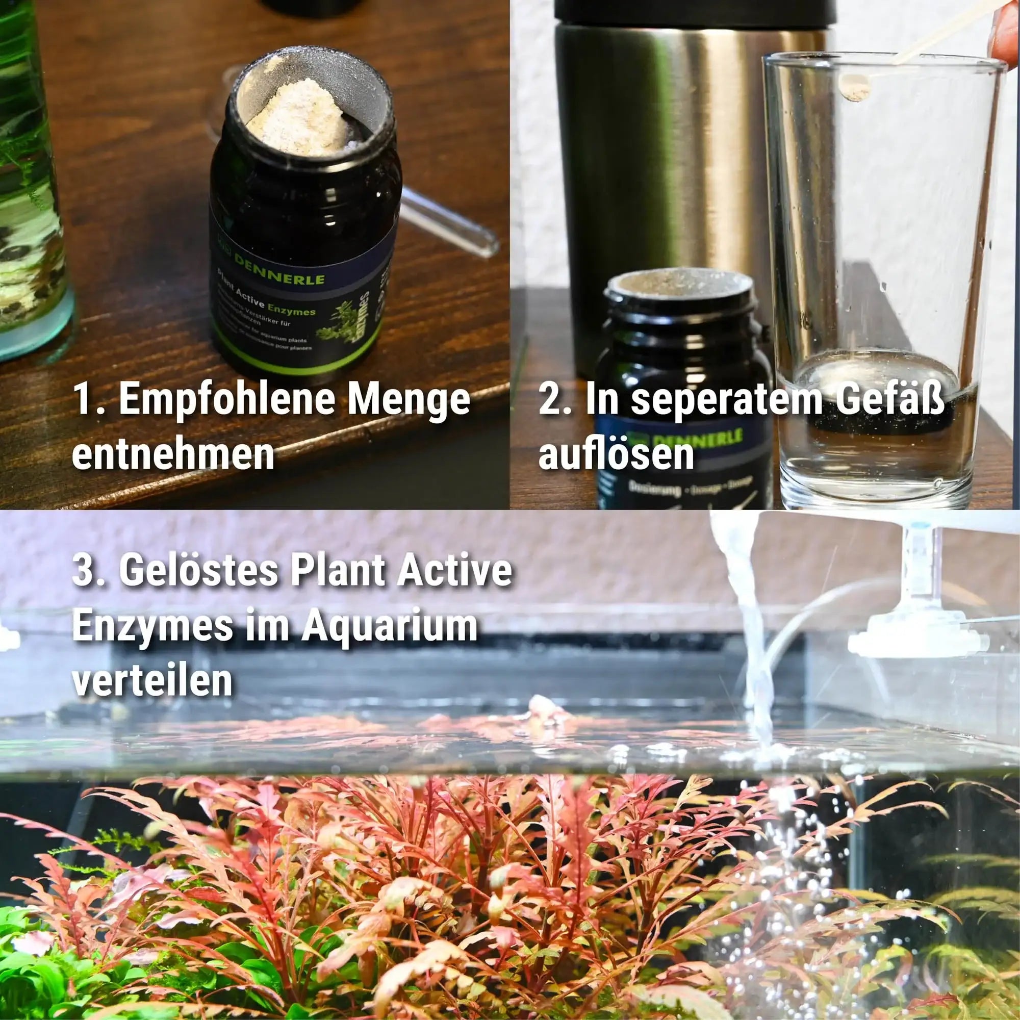 Plant Active Enzymes