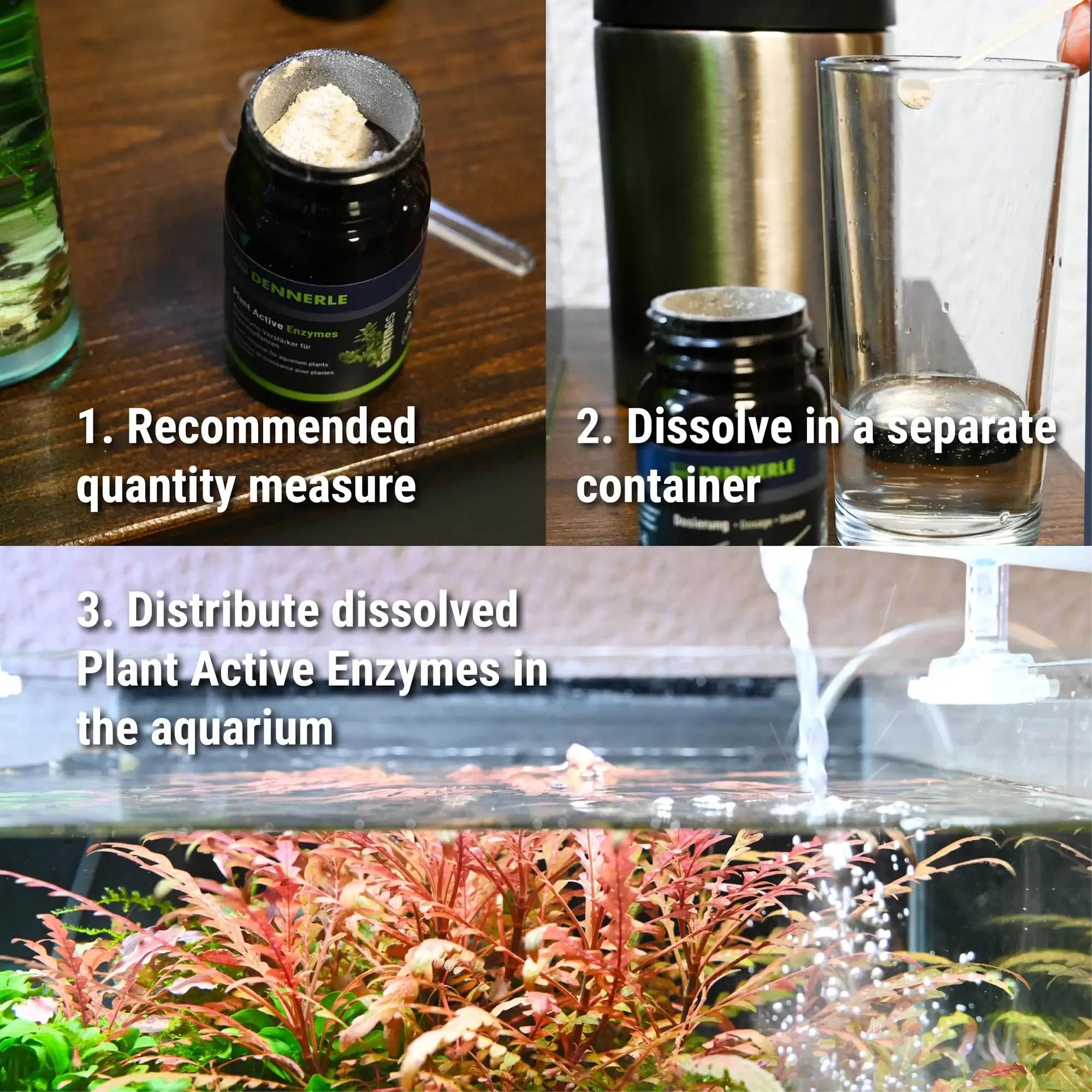 Plant Active Enzymes