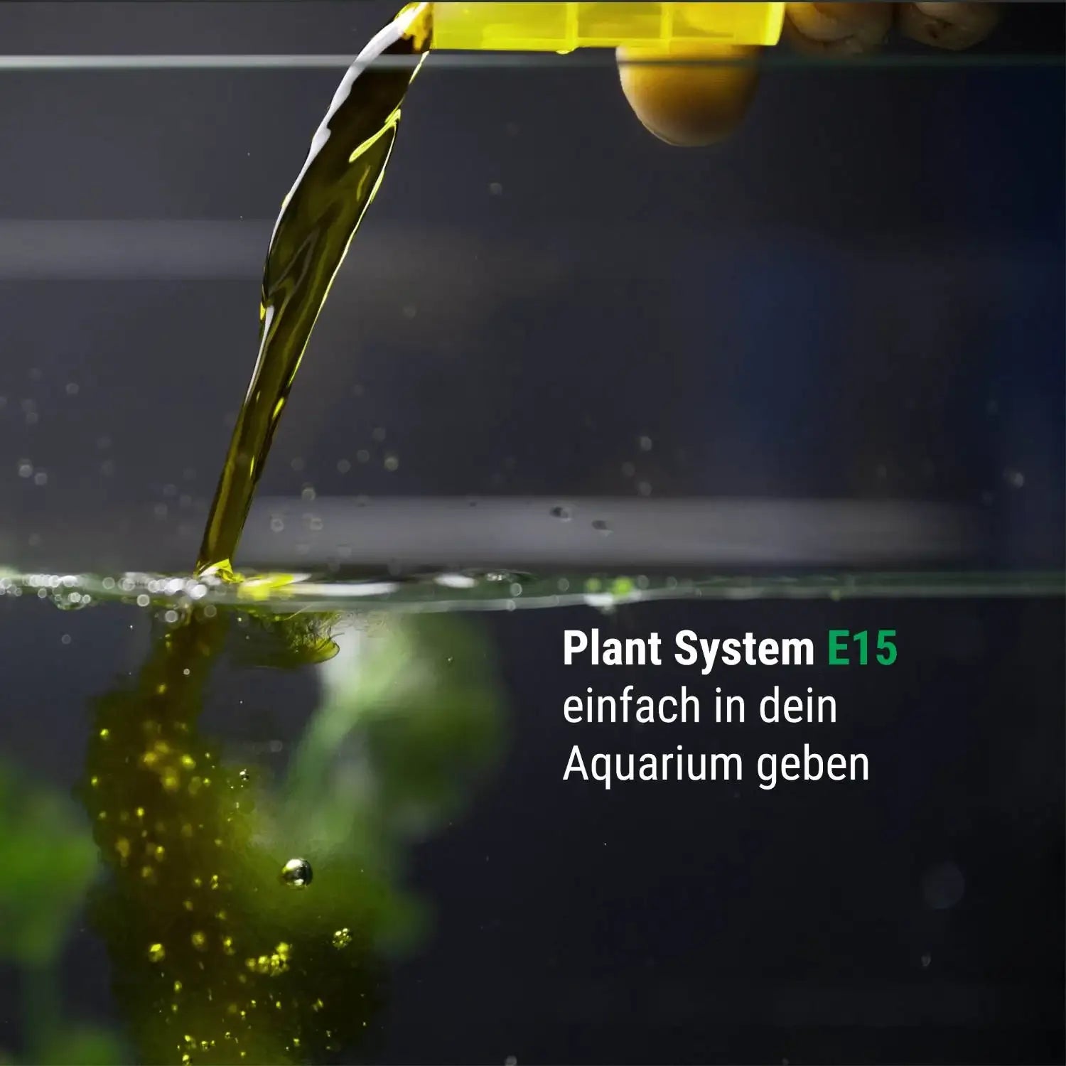 Plant System E15