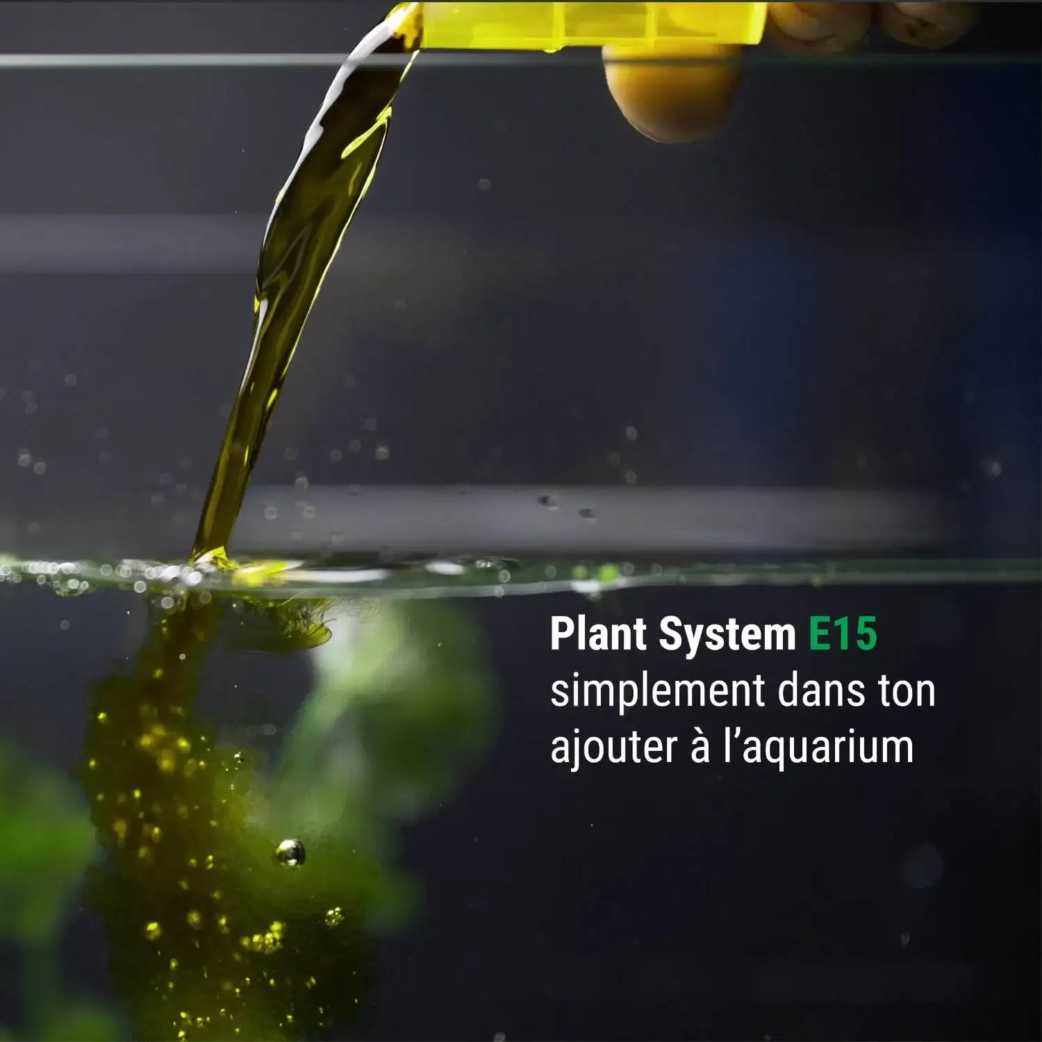 Plant System E15