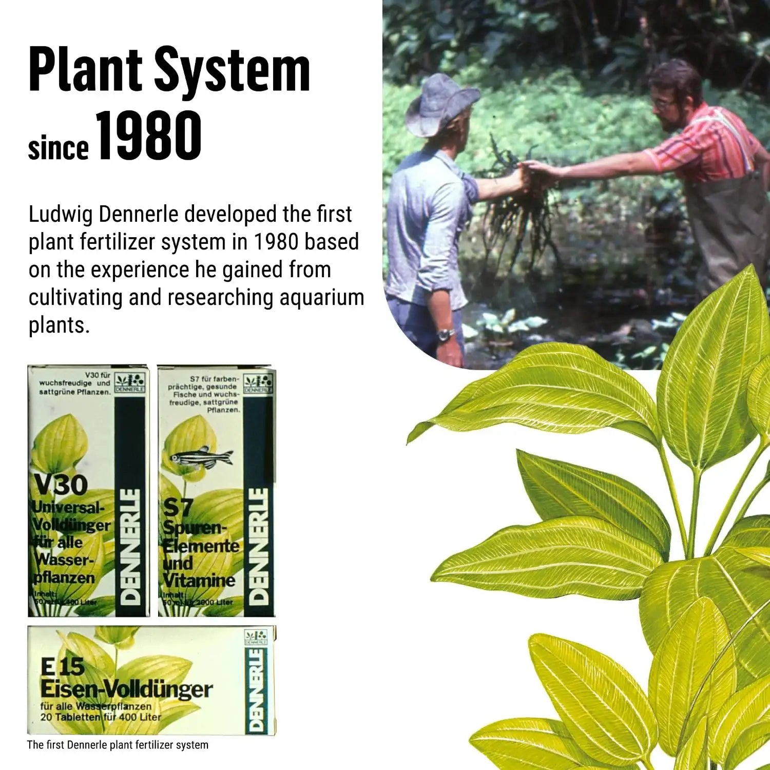 Plant System E15