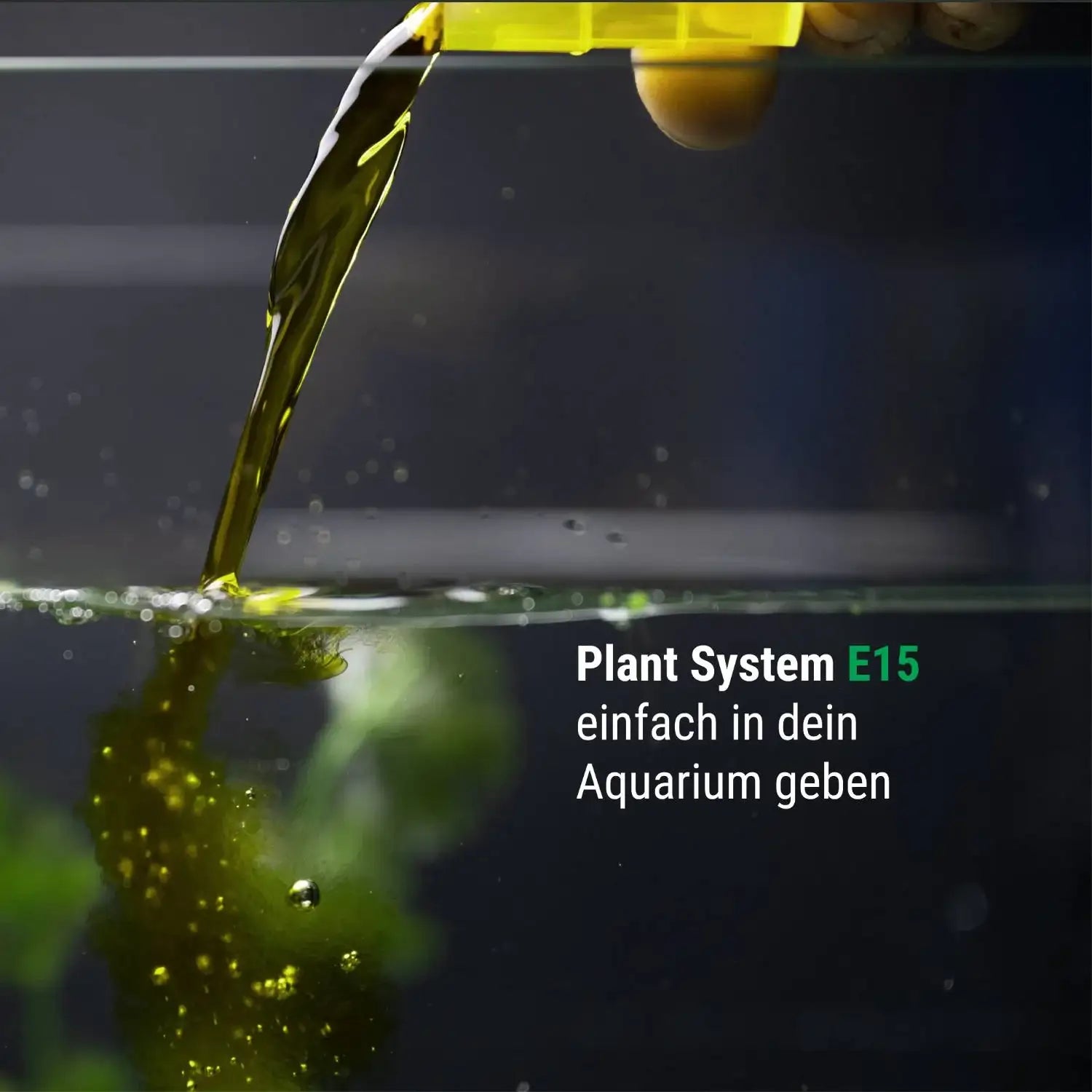 Plant System E15