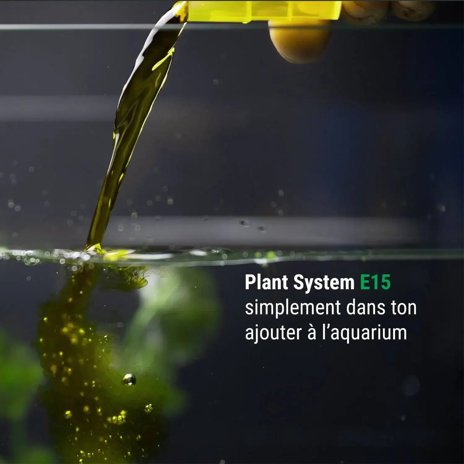 Plant System E15
