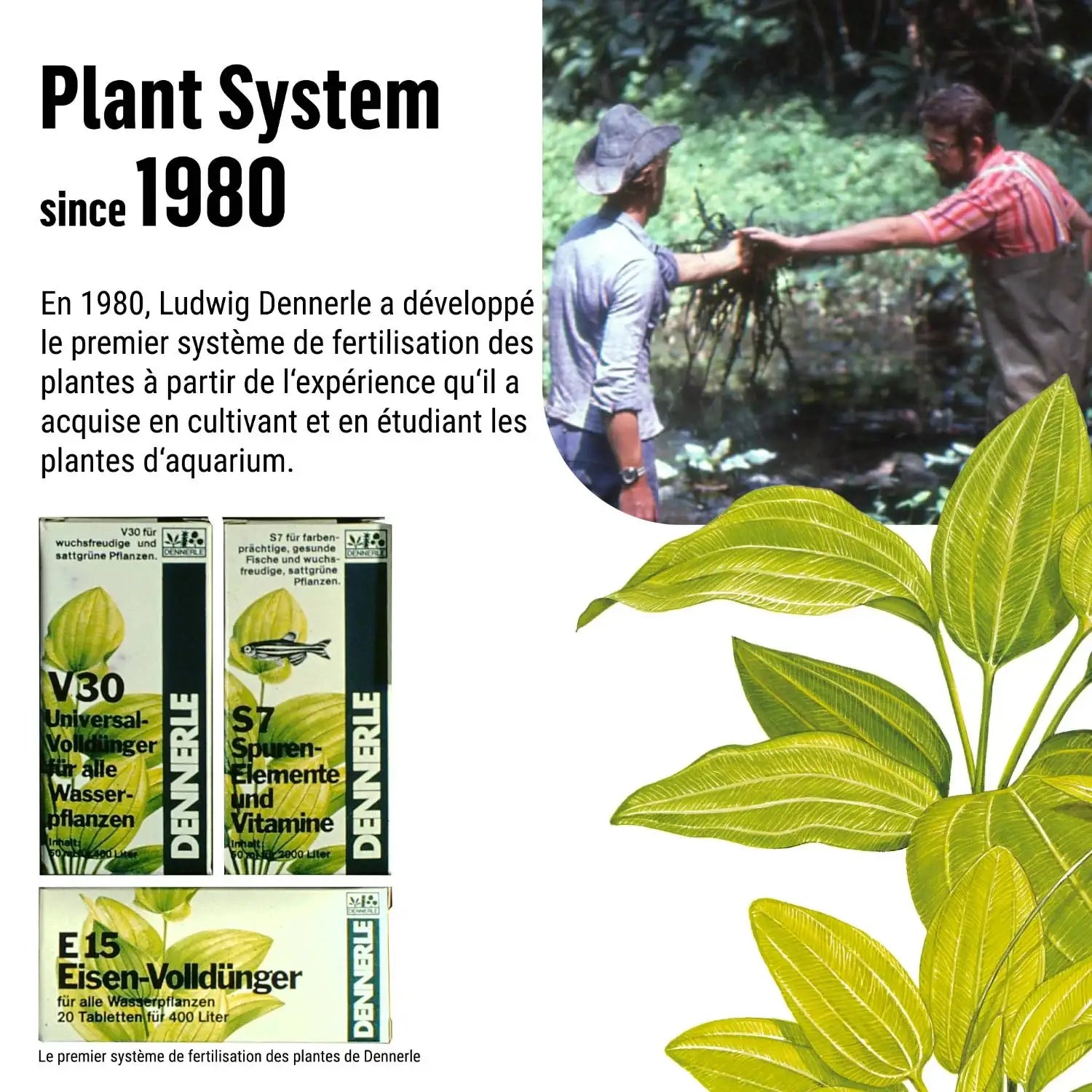 Plant System E15