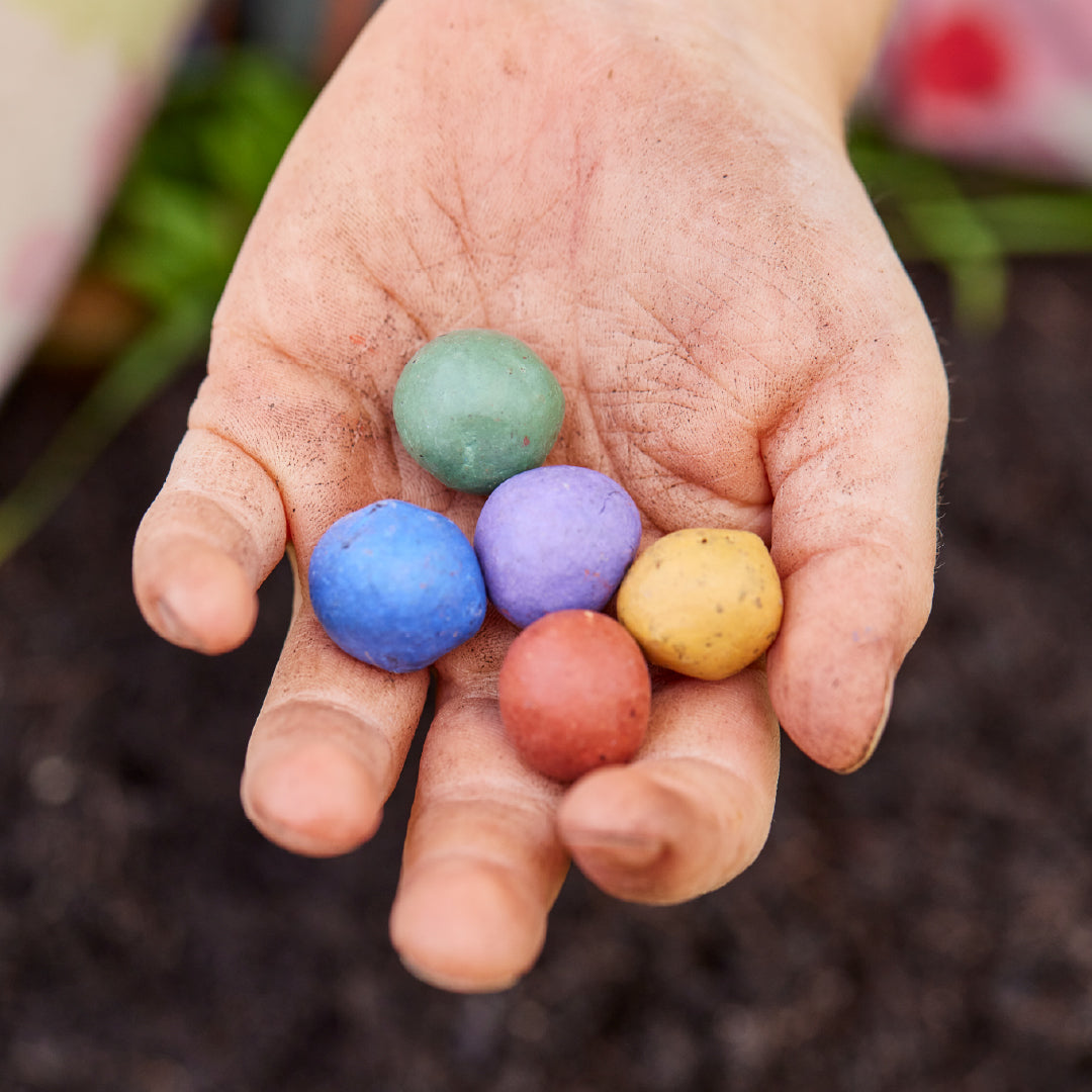 5 Blumenmurmeln im Tütchen zur Einschulung "Du bist 1. Klasse"