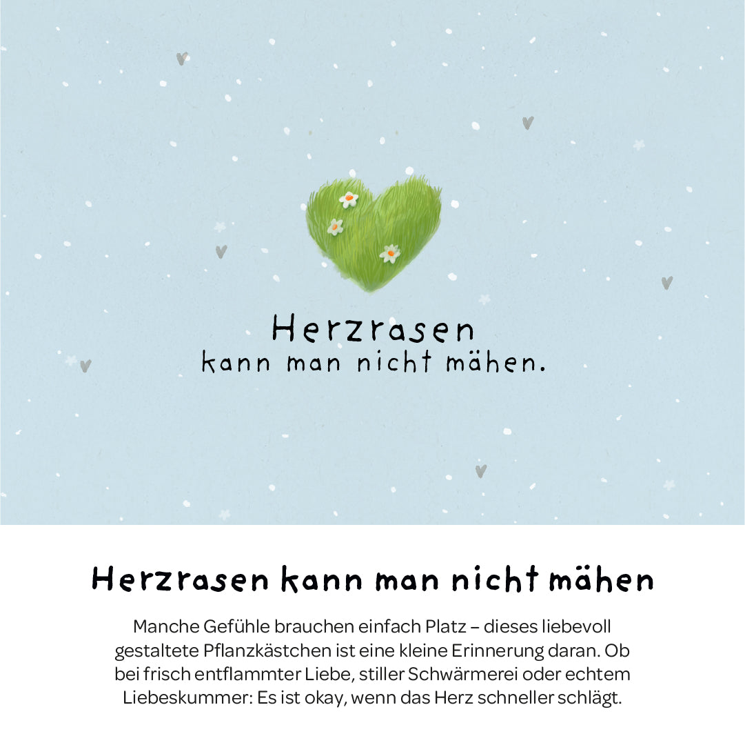 Pflanzkästchen - Herzrasen