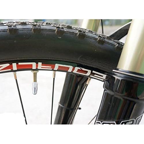 SystemS Ventilkappe Presta Sclaverand Ventil Aluminium Silber Schutz Vor Schmutz Staub