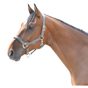 EQuest Halfter Dual plus Nickel Finish