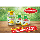 Dr. Stähler Fliegenfalle für den Außenbereich plus 2 Nachfüller
