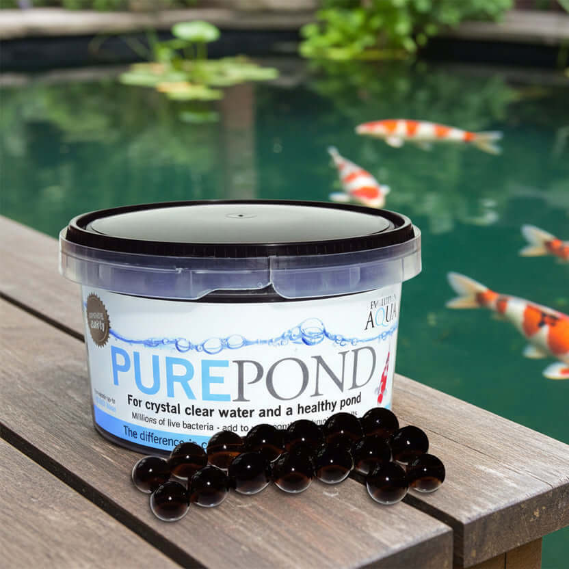 Evolution Aqua Pure Pond Filterbakterien in Gel-Bällen 10 m² Filterstarter Koi