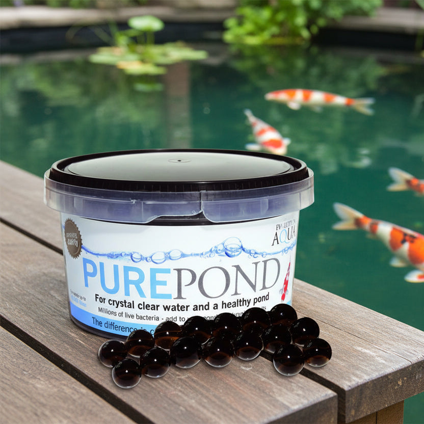 Evolution Aqua Pure Pond Filterbakterien in Gel-Bällen 10 m² Filterstarter Koi 