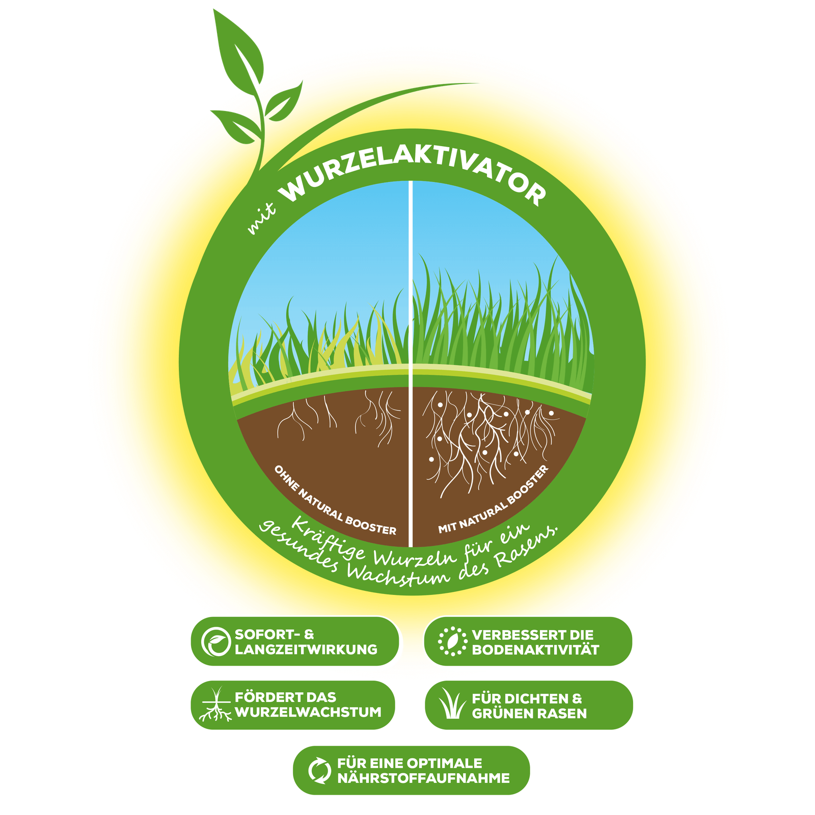 Solabiol Rasendünger für 200 m² sofort- und Langzeitwirkung | Rasendünger