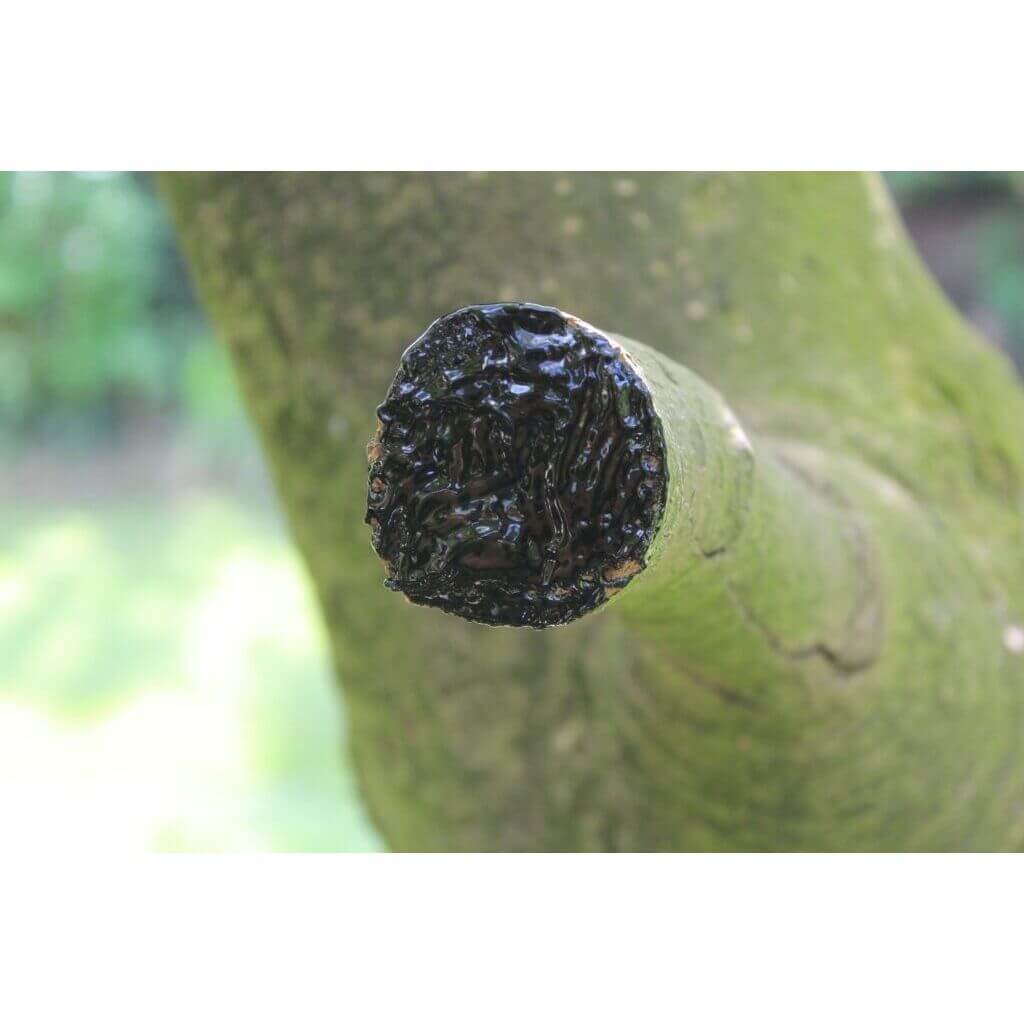 Solabiol Bio Baumwundverschluss 1 kg