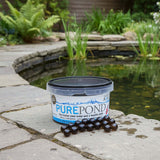 Evolution Aqua Pure Pond Filterbakterien in Gel-Bällen 20m² Starterbakterien