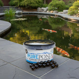 Evolution Aqua Pure Pond Filterbakterien in Gel-Bällen 40 m² Starterbakterien