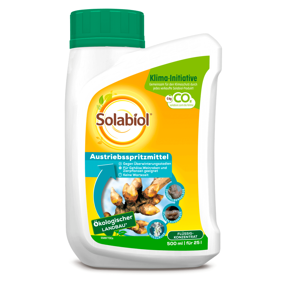 Solabiol Austriebsspritzmittel gegen Überwinterungsstadien von Spinnmilben |