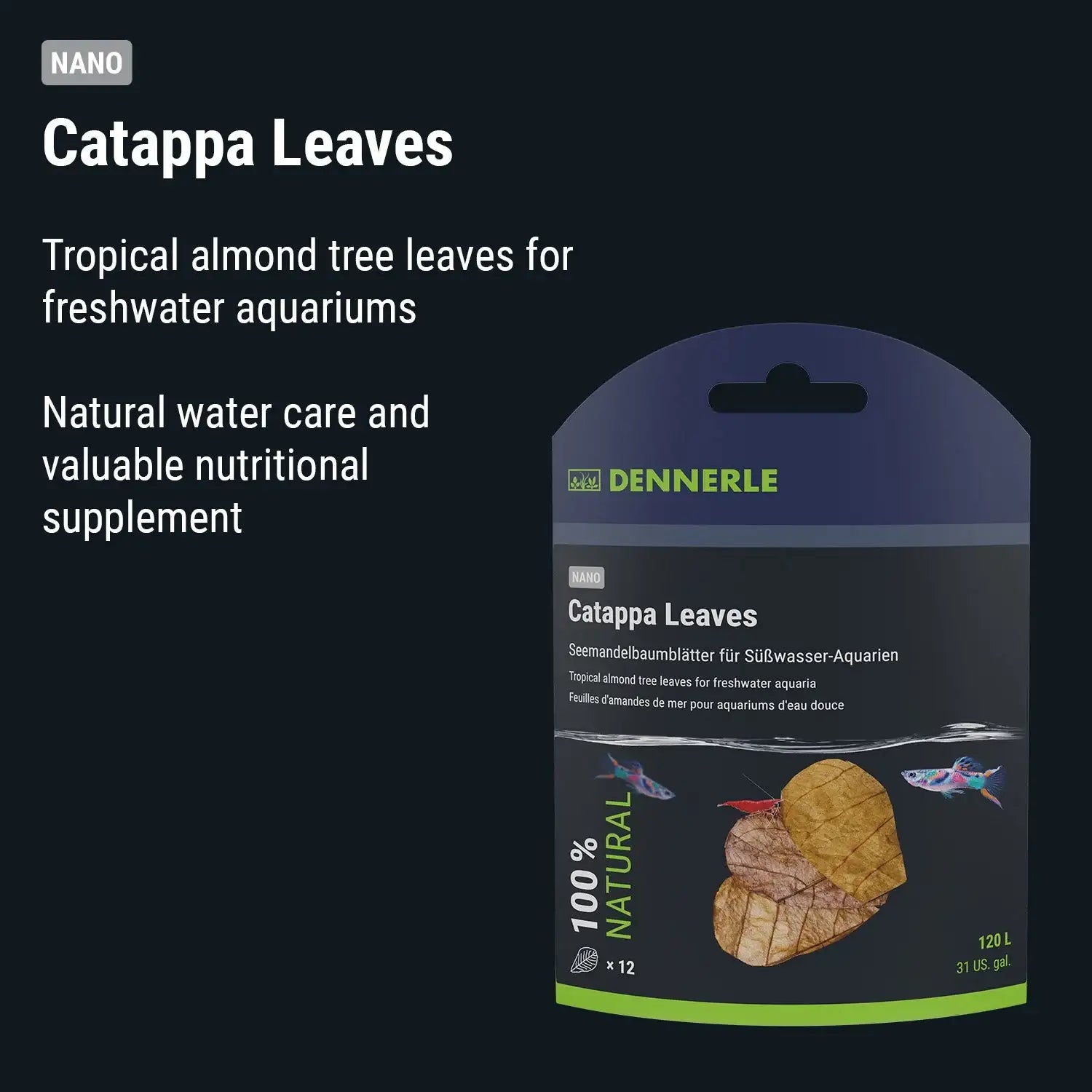 Catappa Leaves