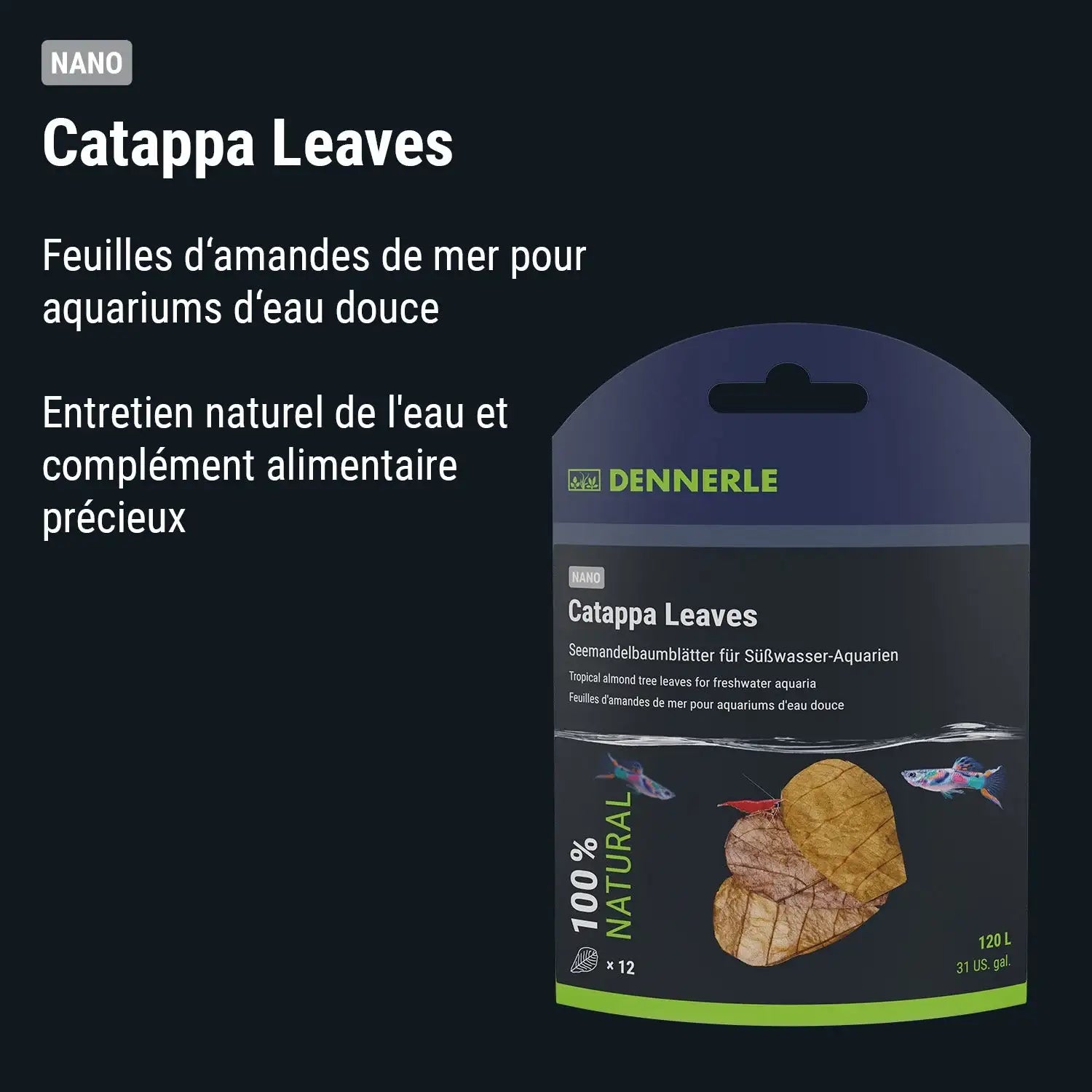 Catappa Leaves