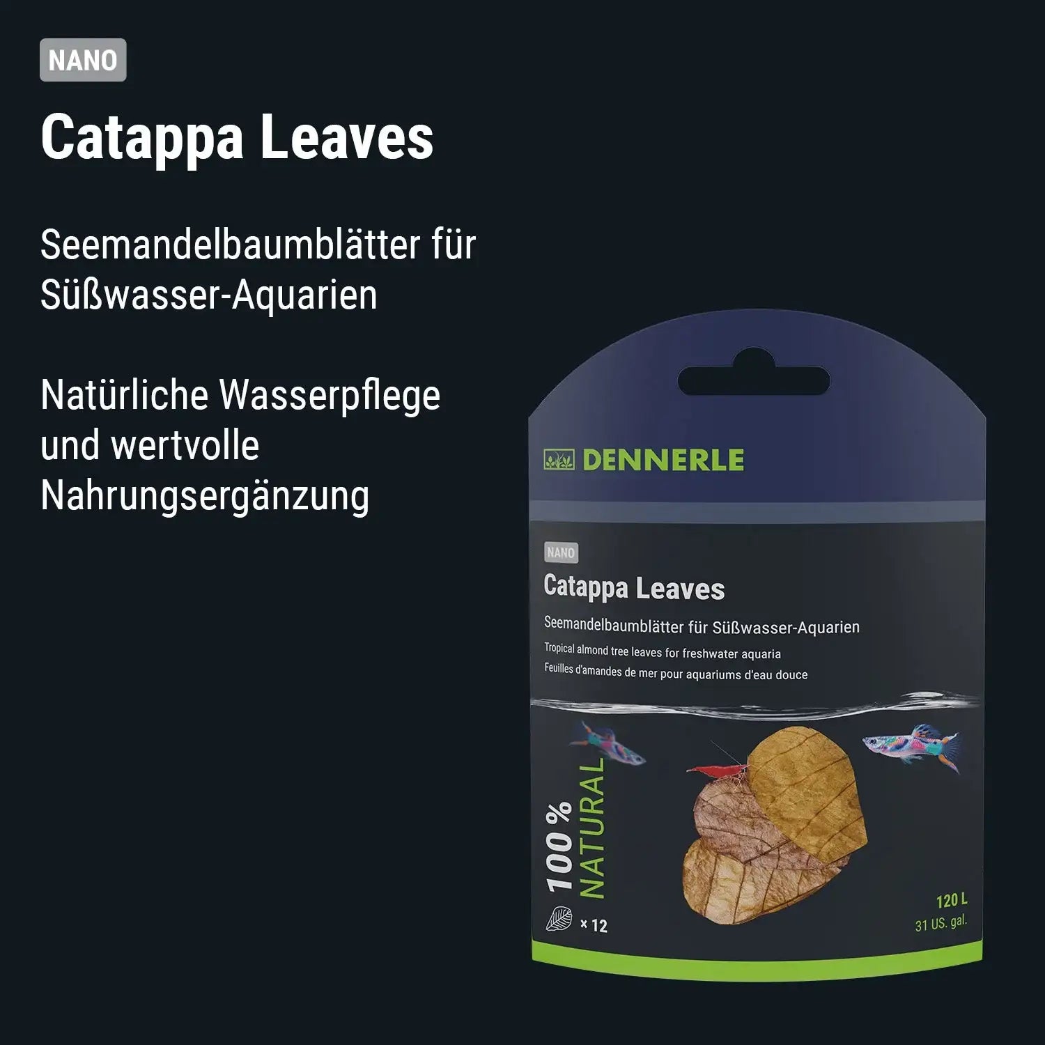 Catappa Leaves