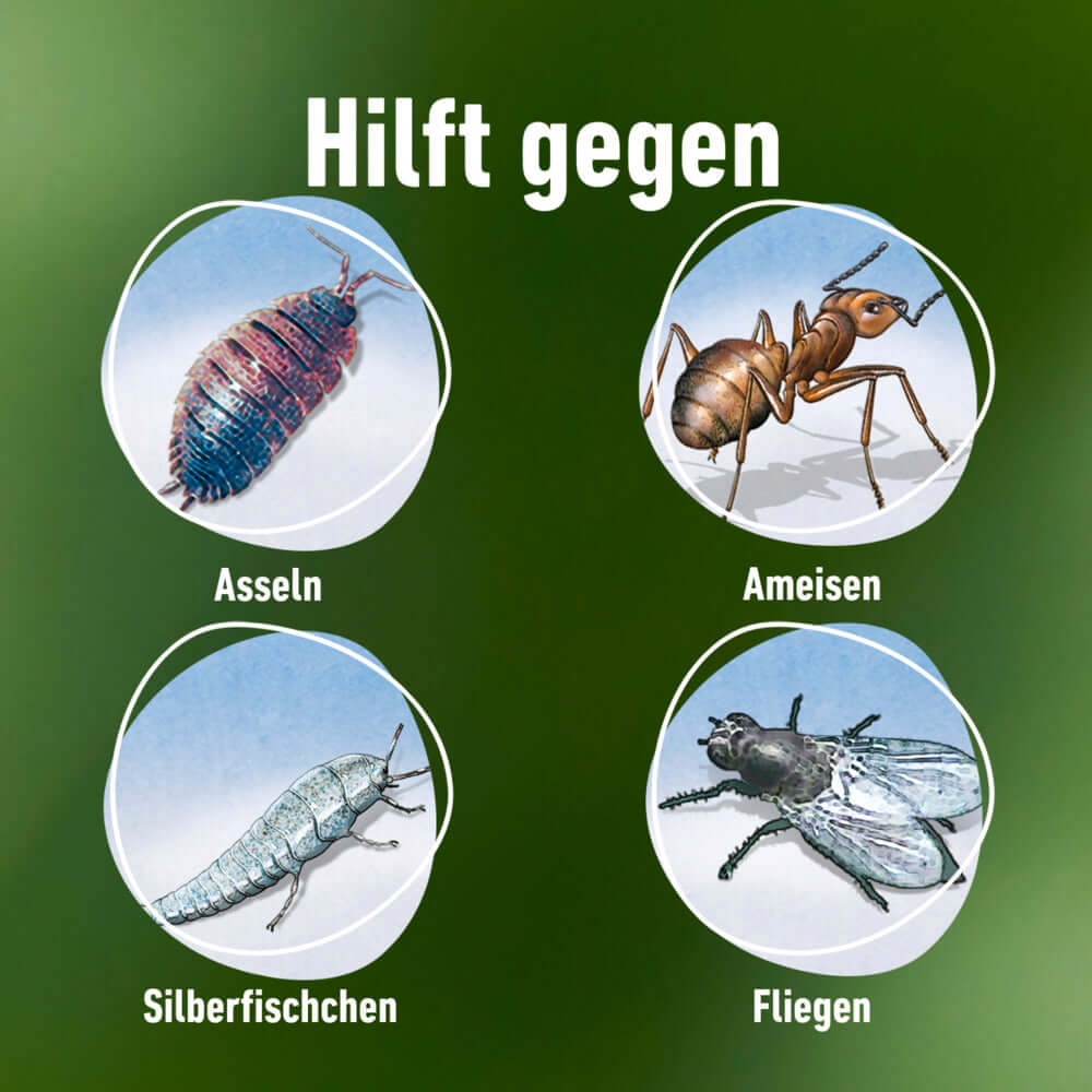 COMPO Bettwanzen- und Insektenspray kriechende & fliegende Insekten