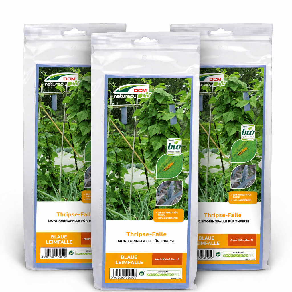 CUXIN DCM Naturapy Thrips-Falle 3 x a 10 Stück