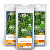 CUXIN DCM Naturapy Thrips-Falle 3 x a 10 Stück