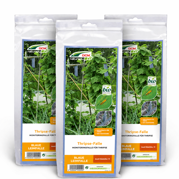 CUXIN DCM Naturapy Thrips-Falle 3 x a 10 Stück