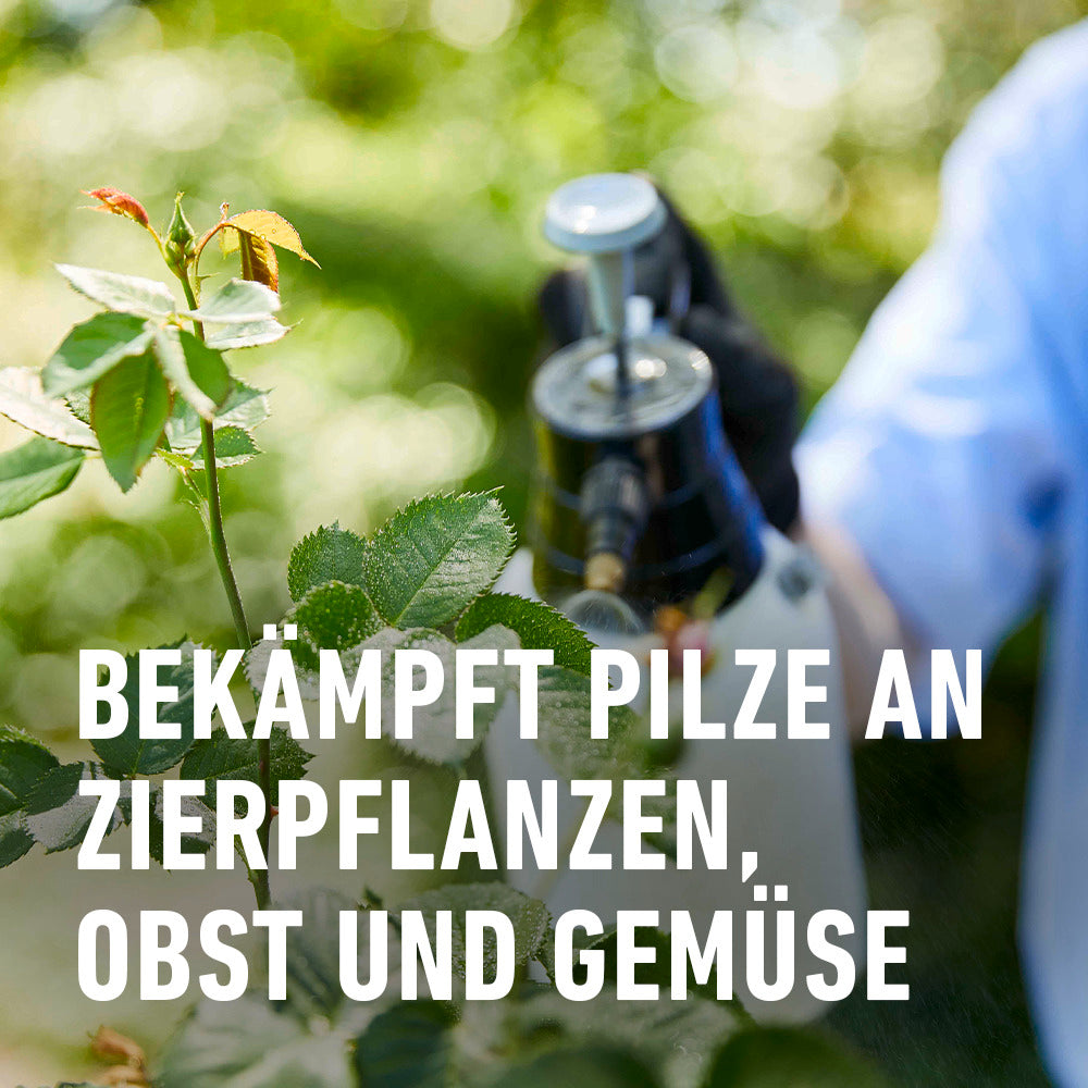COMPO Duaxo® Universal Pilz-frei AF