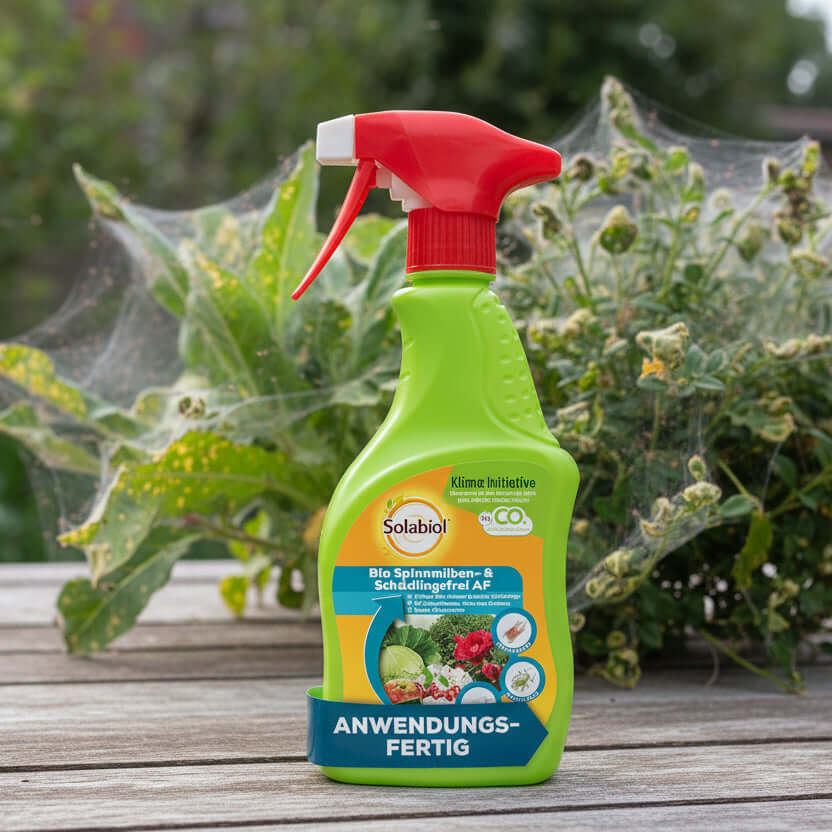 Solabiol Bio Spinnmilben- & Schädlingsfrei