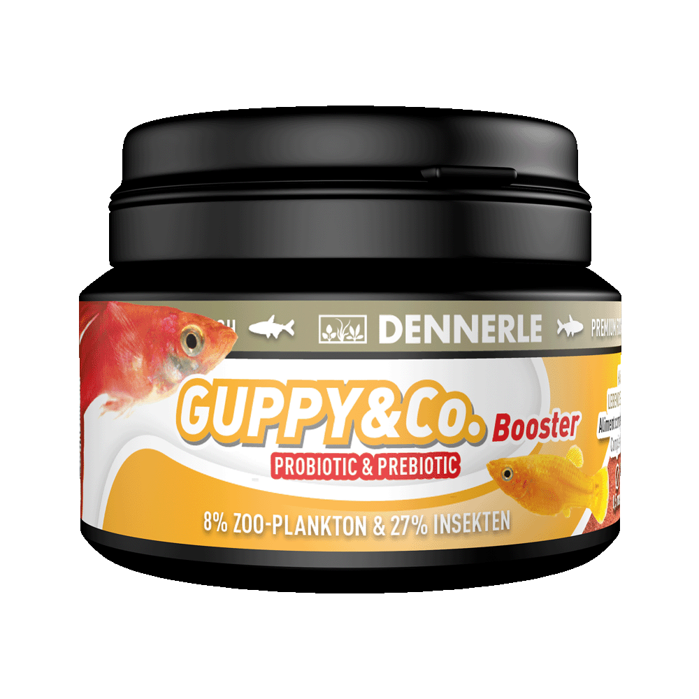 Guppy Booster