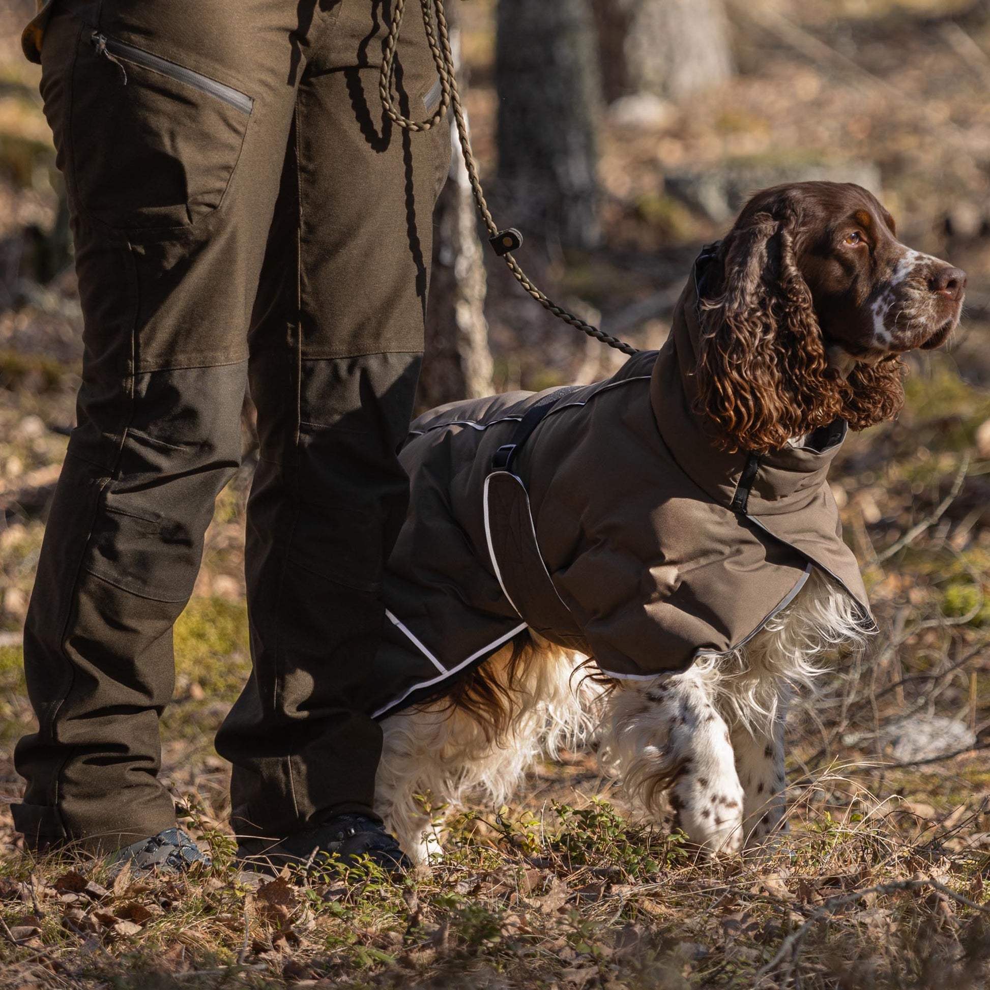 BAY Winter-Hundemantel, Niedriger Rutenansatz
