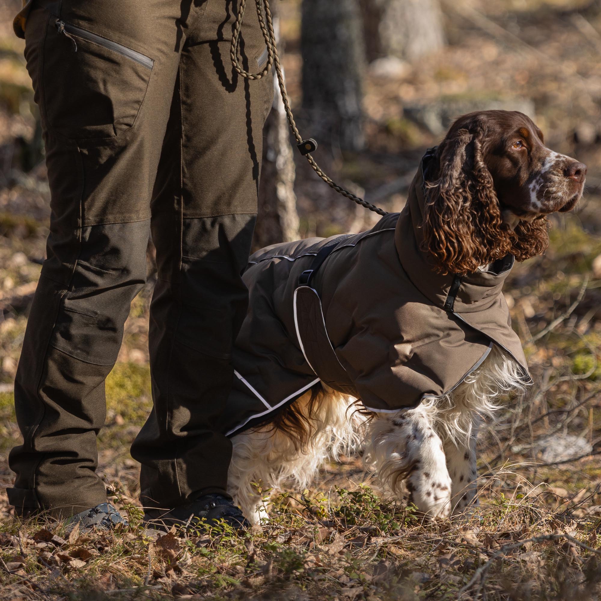 BAY Winter-Hundemantel, Niedriger Rutenansatz