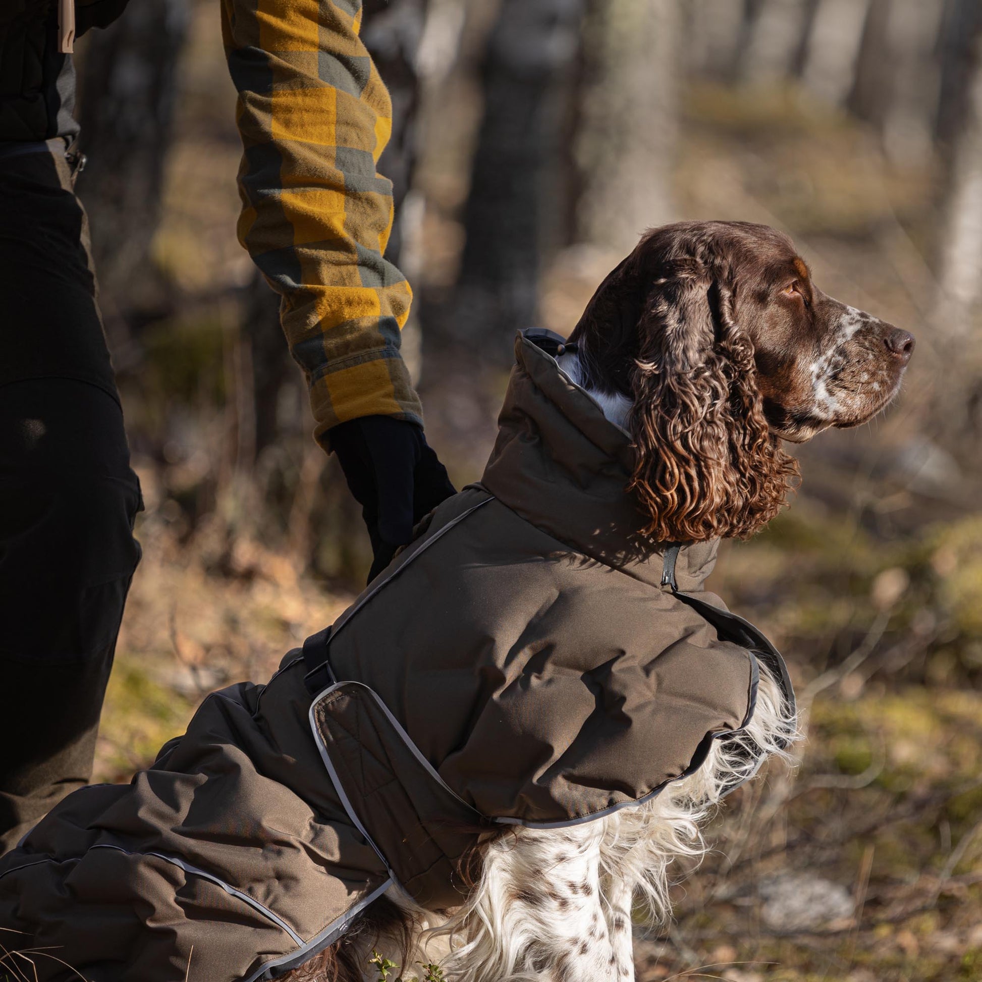 BAY Winter-Hundemantel, Niedriger Rutenansatz