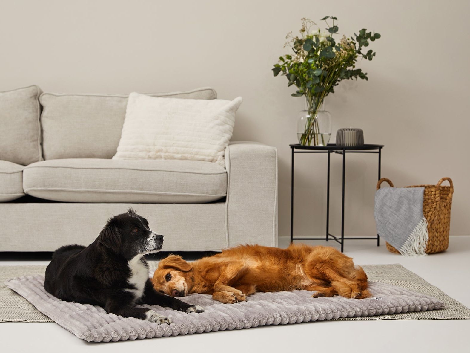 Einlage MJUCK Breitcord