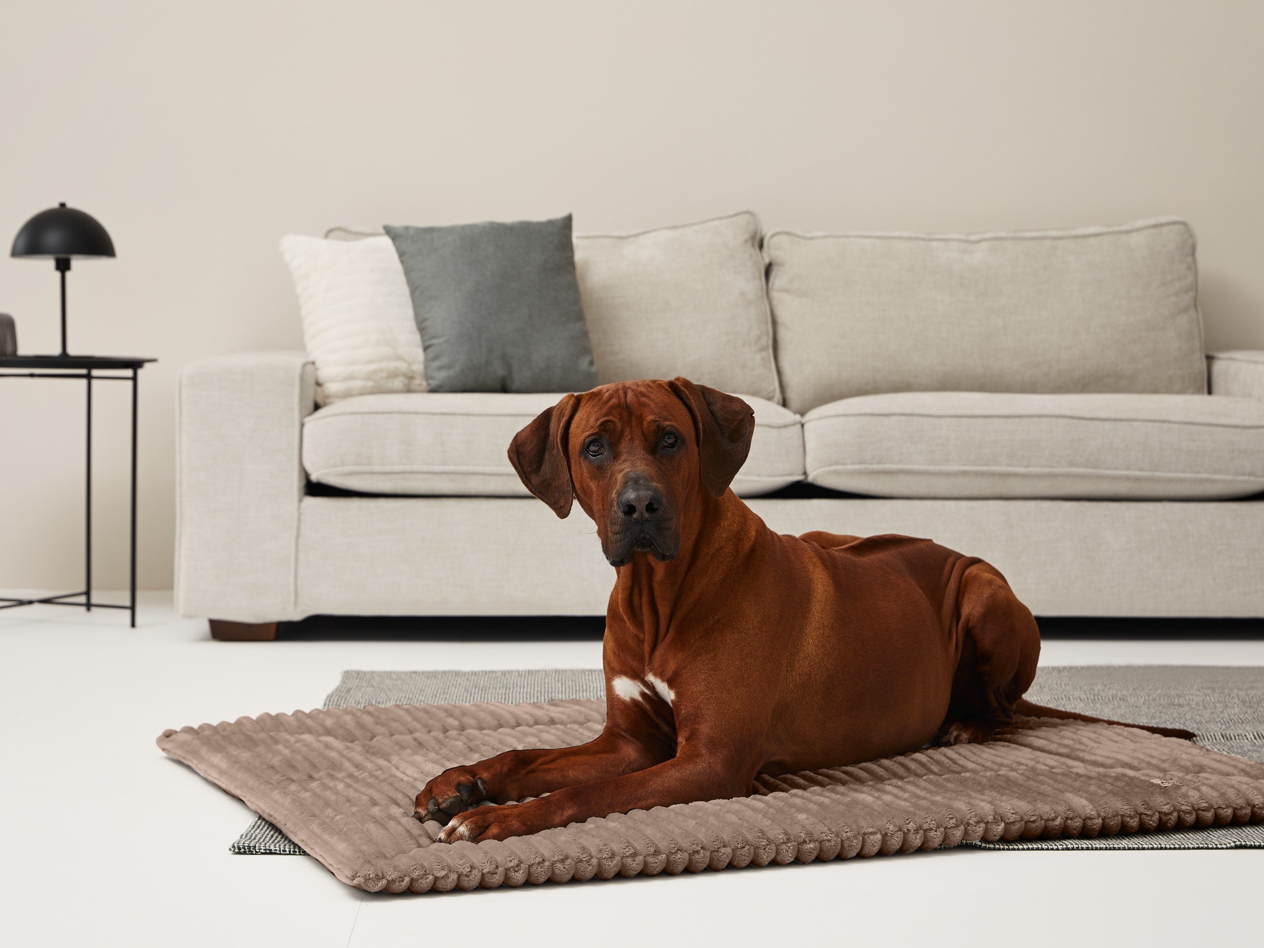 Einlage MJUCK Breitcord