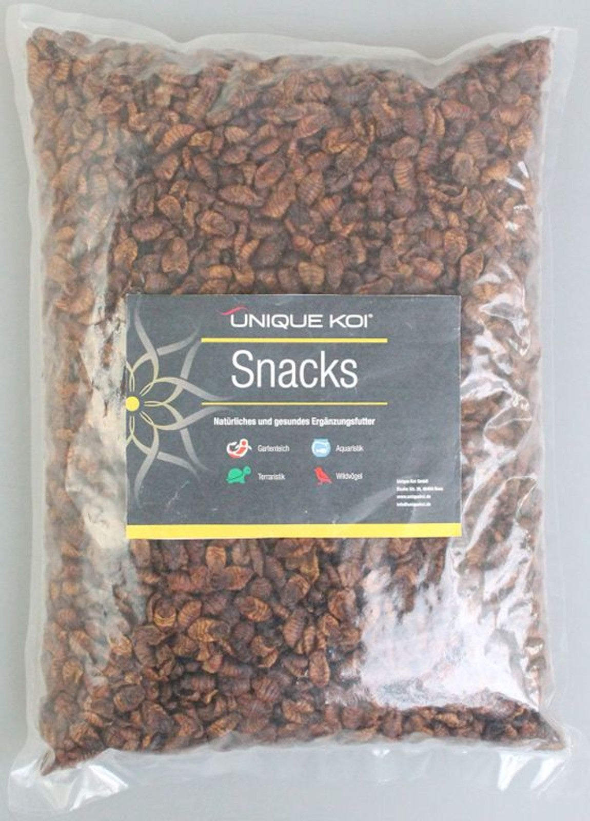 Unique Koi Seidenraupen Natursnack 5 l