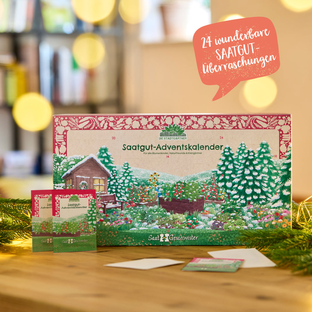 Saatgut-Adventskalender mit Türchen